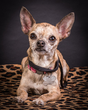 Foster Selina-1224