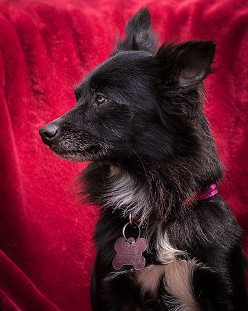Foster Julio-8429