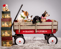 Foster Hospice Gang-3816