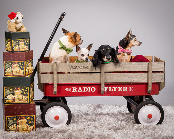 Foster Hospice Gang-3816