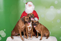 Santa Claus-3302