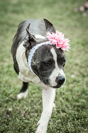 Foster Maya-0355