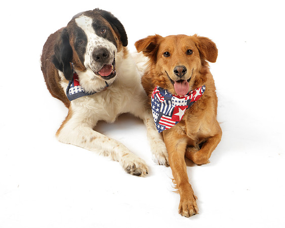 Ollie and Heidi-8301