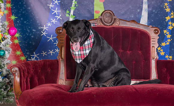 Foster Beatrice-3998