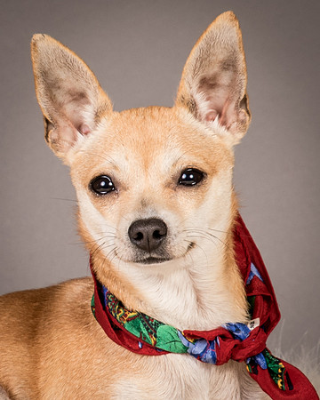 Foster Rosanna-3859