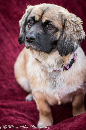Foster Trudy-36