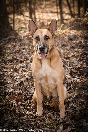 Foster Rita-2466