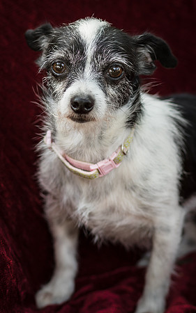 Foster Olive-7683