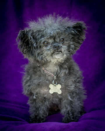 Foster Vivienne-9291