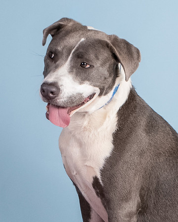 Foster Juliana-8105