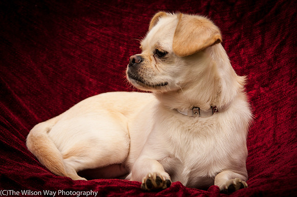 Foster Bonnie-3303