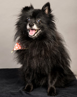 Foster Wayne-7702