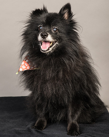 Foster Wayne-7702