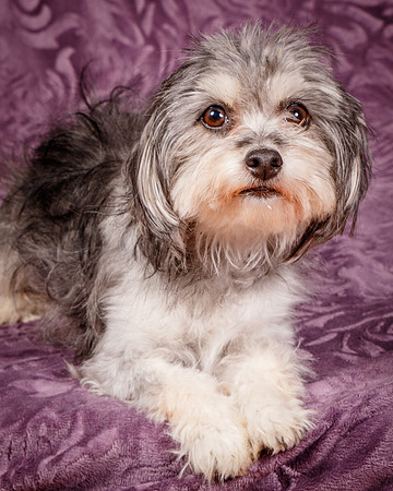 Foster Alex-6284