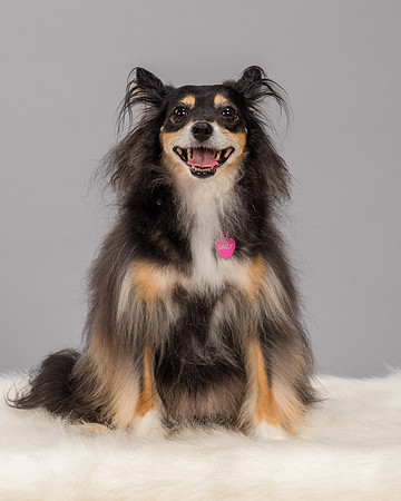 Elmore-2898