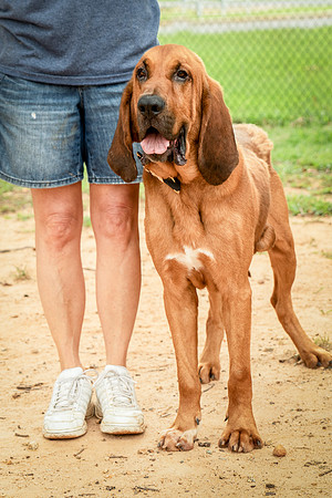 Roscoe-0446