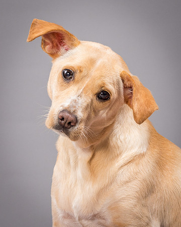 Foster June-3547