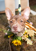 2015Oct24_5792
