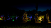 Christmas-2526