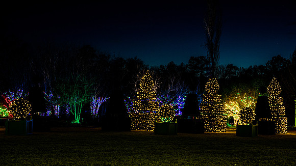 Christmas-2526