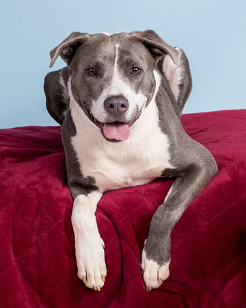 Foster Juliana-8113