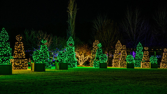 Christmas-2930