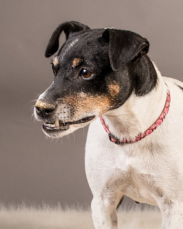Foster Pollyanna-3958