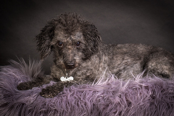 Foster Mokey-1367