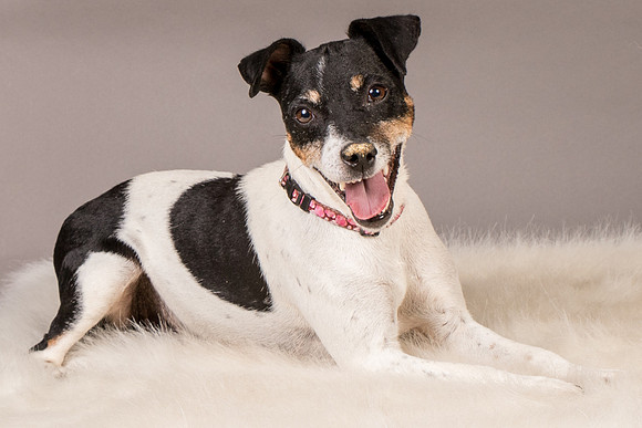 Foster Pollyanna-3890