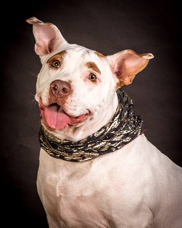 Foster Joanie-0431