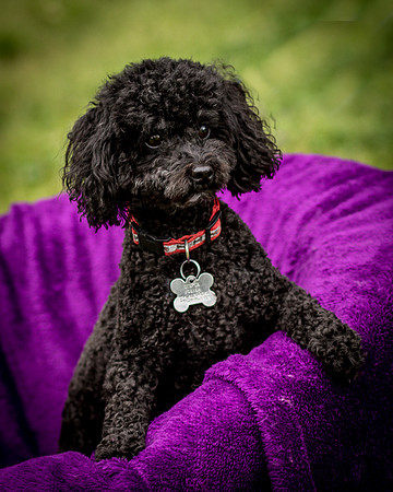 Foster Mindy-7348