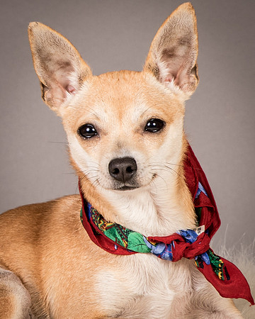 Foster Rosanna-3856
