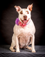 Foster Joanie-0416