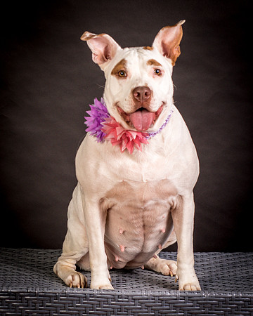 Foster Joanie-0416