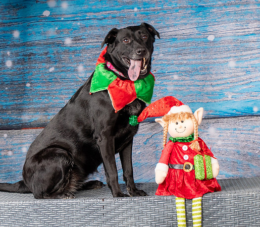 Foster Beatrice-4012