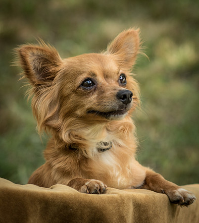 Foster Dolly-7759