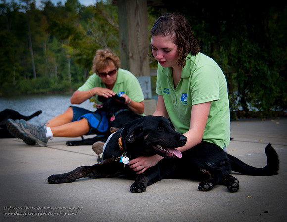 Guide Puppies (15 of 191)