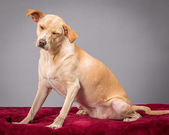 Foster June-3548