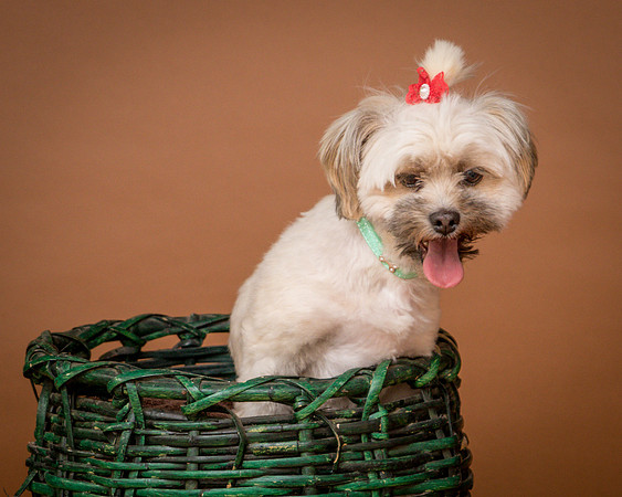 Foster Frida-9838