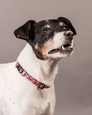 Foster Pollyanna-3997