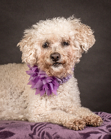 Foster Mae-9191