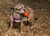 2015Oct24_5712