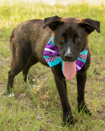 Darlington -Melanie-9418