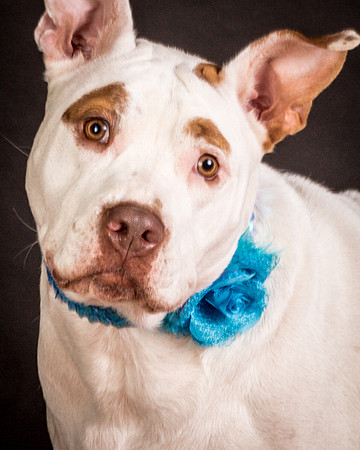 Foster Joanie-0460