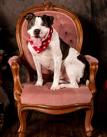 Foster Duke-0522