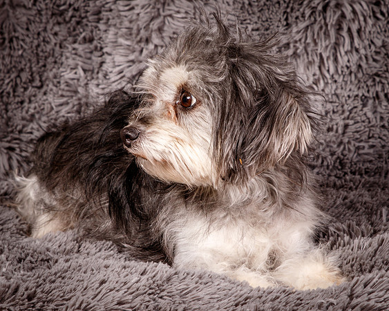 Foster Alex-6215