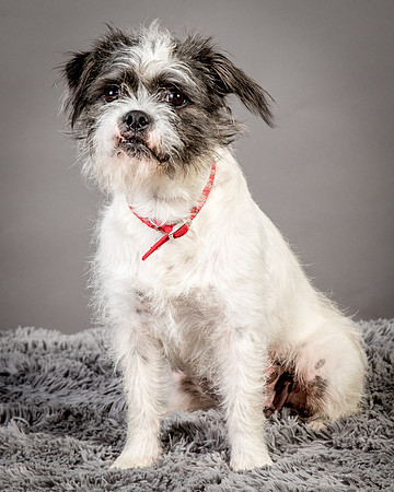 Foster Leeza-2662