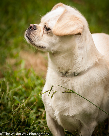Foster Bonnie-3441