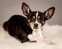 Foster Justice-4607