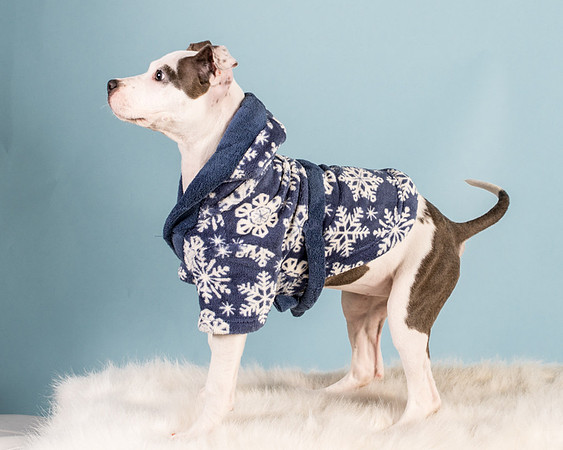 Foster Luna-4779